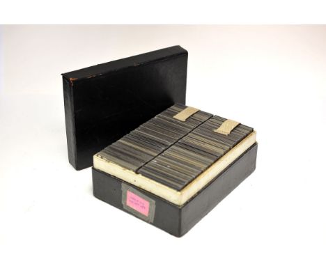 Botanic Lantern Slides: a comprehensive set in morocco leather box