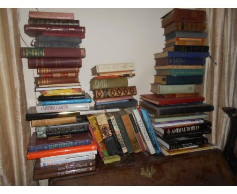 VARIOUS BOOKS   a shelf