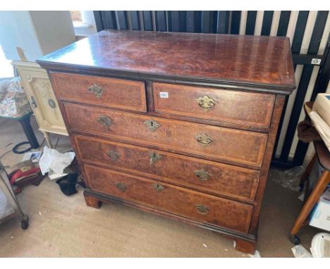 An Early 18th Century Burr Oak? Chest of 2 short on 3 long drawers, feather edge inlay, bracket feet, 3ft 2" wide
