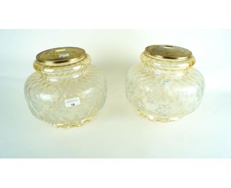 A pair of tinted glass light shades