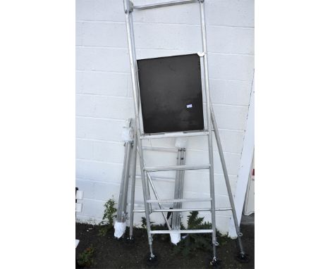An orchard pruning ladder, 220cm