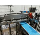 Vibratory Transfer Conveyor