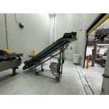 Incline Conveyor
