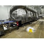 Industrial Microwave Cooking/Drying System