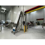 Feed Elevator Conveyor