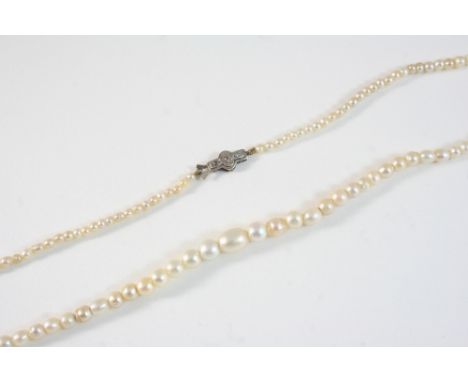 A SINGLE ROW GRADUATED PEARL NECKLACE the one hundred and eleven pearls graduate from 2.6mm. to 7.0mm., to a white gold clasp