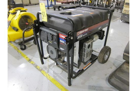 Generator, Troy-bilt, 8,000 Watt, 13,500 Starting Watt, Briggs 