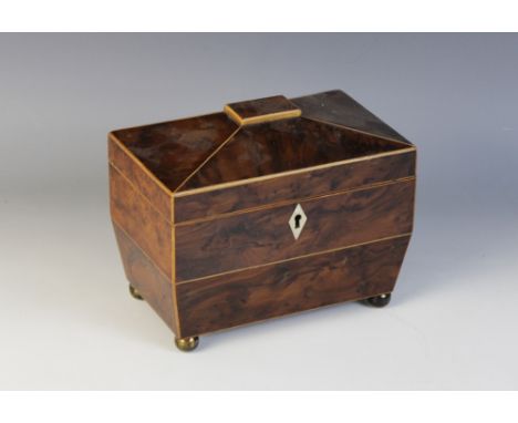A George III yew wood tea caddy, of sarcophagus form, opening to twin lidded compartments, raised upon gilt metal ball feet, 