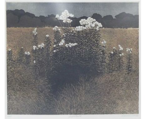 Phil Greenwood (b.1943) - Night Field, etching with aquatint on wove paper, signed, titled, dated '73 and numbered '36/75' in
