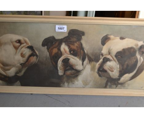 Cecil Aldin coloured print of three bulldogs, 9ins x 23ins