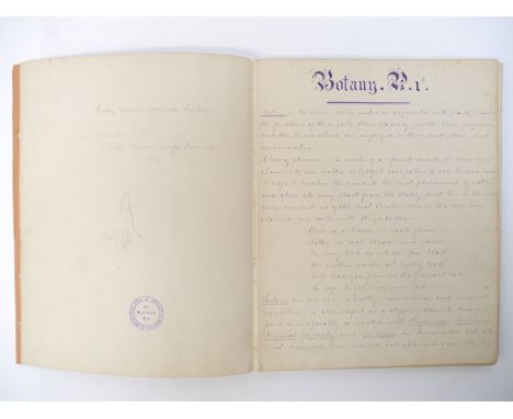 A 19th Century manuscript album by Lady Abbess Gertrude Lescher, 88 m/s numbered pages of pen and ink entries on Botany, incl