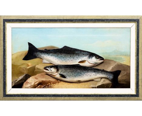 ATTRIBUTED TO JOHN BUCKNELL RUSSELL (SCOTTISH 1819 - 1893) TWO SALMON oil on canvasframedimage size 37cm x 75cm, overall size