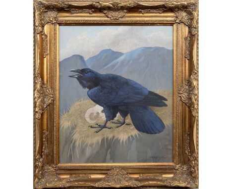 * RALSTON GUDGEON RSW (SCOTTISH 1910 - 1984), RAVEN  watercolour on paper, signed, titled verso framed and under glass  image