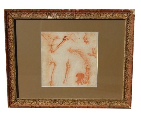 17th C. Old Master Drawing, Anatomical Study of Bones. Sanguine/paper. Appears to be unsigned. Sight Size: 8.25 x 8.25 in. Ov