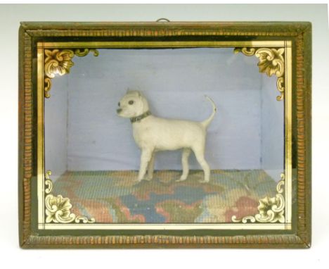 Taxidermy - A Victorian whimsical miniature white terrier, 11cm high approx, mounted in a gilt decorated glazed cabinet, dime