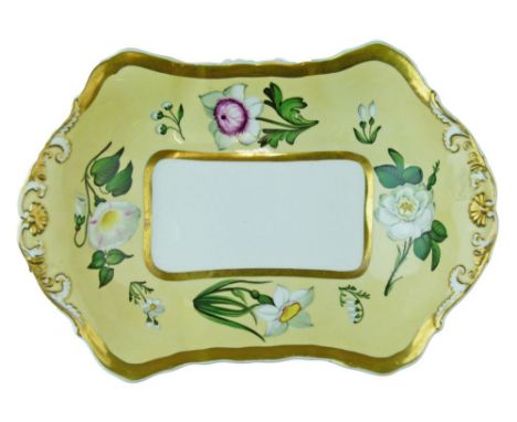 19th Century Spode Felspar shaped rectangular bowl having finely painted botanic decoration on a pale yellow ground within a 