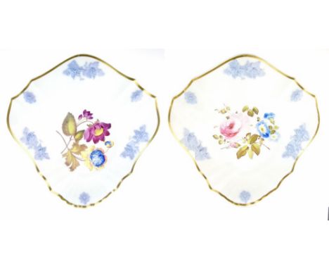 Pair of 19th Century H & R Daniel cusped shaped dishes having finely painted botanic decoration within a border of moulded li