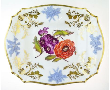 19th Century H & R Daniel shaped rectangular dish having finely painted botanic decoration within a border of moulded lilac r