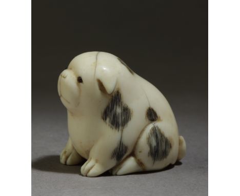 A mid 19th century Japanese netsuke from Edo period. Not signed. In carved elephant tusk portraying a puppie sat on the floor