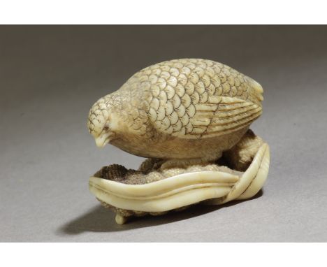 A 19th century Japanese netsuke. Signed Okatomo on the base. In carved elephant tusk portraying a quail resting on a bunch of