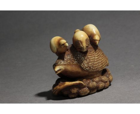 A 19th century Japanese netsuke. Not signed. In carved ivory portraying a raven disguissed as a quail on a millet with the fo