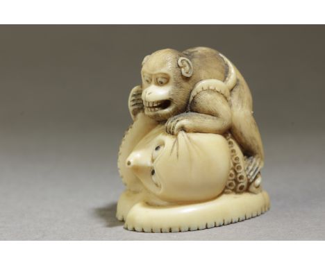 A mid 19th century Japanese netsuke. Not signed. In carved elephant tusk portraying a monkey grabbing a gigant octopus, 31,3x