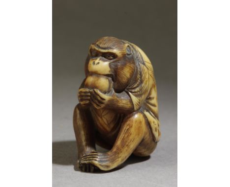 A mid 19th century Japanese netsuke. Signed on a side. In carved ivory depicting a monkey sat on the floor while eating a fru