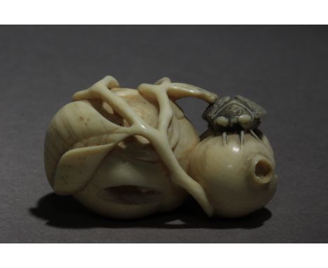 A Japanese netsuke from Meiji period circa 1850-1870. Signed Gyokuyosai on a side. In carved elephant tusk portraying a cicad