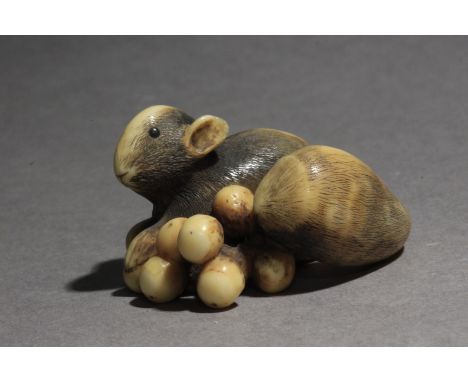 A 19th century Japanese netsuke. Signed Shunkosai? on the base. In carved elephant tusk portraying a squirrel on the floor, h