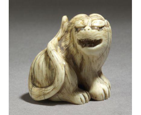 An 18th century Japanese netsuke from Edo period. Not signed. In carved elephant tusk portraying a tiger sat on the floor wit