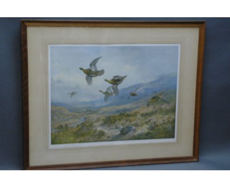 Archibald Thorburn, signed print, red grouse in flight, published by W.F. Embleton.  38 cm x 51 cm, framed, mounted. 
