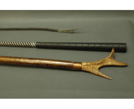 A modern coaching whip and a hazel shaft walking stick with roe antler handle, length 142 cm. 