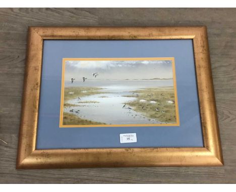 S. F. ALLAN,SEASCAPE - WILD FOWL,watercolour, signed,framed and under glass,overall size 36cm x 46.5cm, along with another by