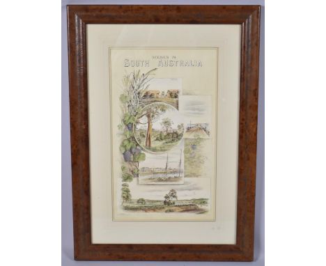 A Framed Print Scenes in South Australia 