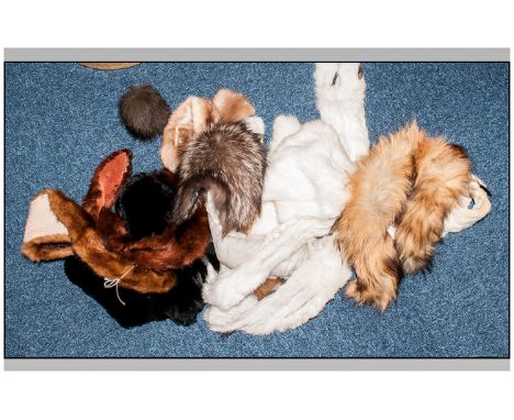 Collection Of Fur Items including White Winter Ermine Fur Hood together with two matching collars, Fox Stole Head & Full Tail