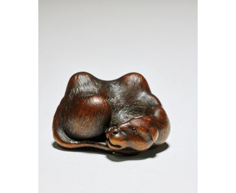 NETSUKE EN BOIS REPRÉSENTANT UN CHAMEAU DE BACTRIANE COUCHÉPar Hogen Tadayoshi, début/mi-XIXe siècleA WOOD NETSUKE OF A RECUM