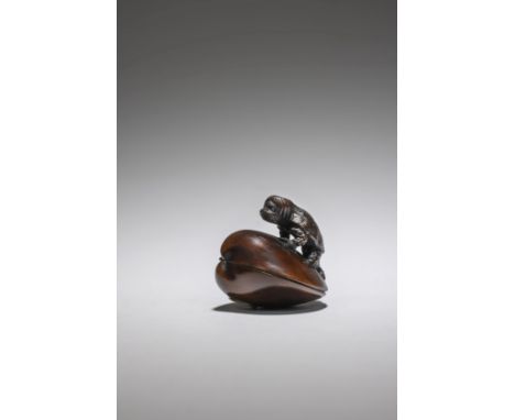 NETSUKE EN BOIS REPRÉSENTANT UN KAPPA SUR UNE PALOURDEPar Suketada, Takayama, Province de Hida, début/mi-XIXe siècleA WOOD NE