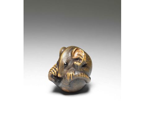 NETSUKE EN BOIS REPRÉSENTANT UN RAT ROULÉ EN BOULEPar Masakatsu, Yamada, Province d'Ise, XIXe siècleA WOOD NETSUKE OF A COILE