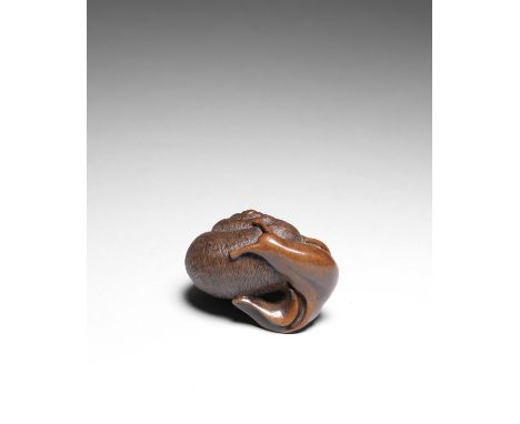 NETSUKE EN BOIS REPRÉSENTANT UN ESCARGOTPar Tametaka, Nagoya, XVIIIe siècleA WOOD NETSUKE OF A SNAILBy Tametaka, Nagoya, 18th