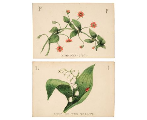 Alphabet cards. The Floral Alphabet, circa 1850s, 25 cards (of 26, lacking M), each with hand-coloured lithographed flower re