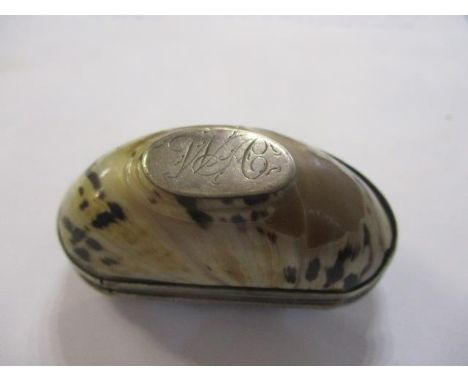 A 19th century shell and silver plated snuff box 