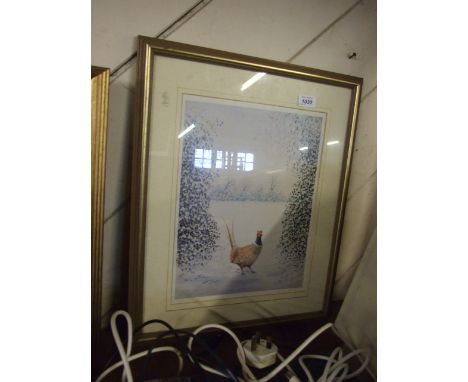 PHEASANT IN A WINTER LIGHT LIMITED EDITION SIGNED PRINT RAY CANHAM