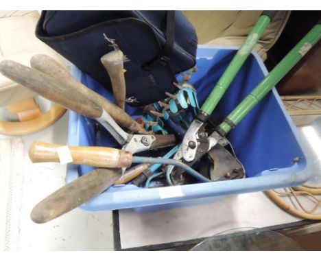 A selection of gardening tools