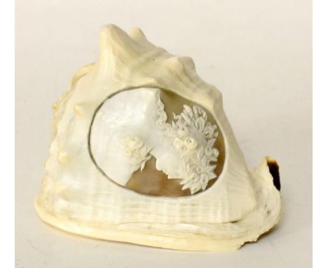 Nautilus shell carved with a portrait cameo 