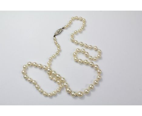 A Set of Graduated Cultured Pearls. The pearls having a diamond clasp, approx 55cms, the largest pearl 5mm and the smallest 3