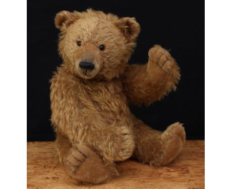 A Gisela Hofmann (Germany) artist made jointed bear, light brown mohair body, brown plastic eyes, pronounced shaved muzzle, b