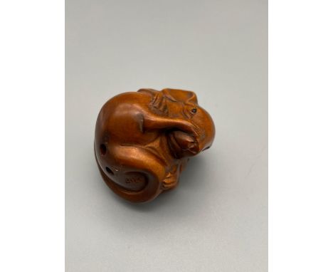 A Japanese hand carved netsuke of a mouse curled up into a ball. Detailed with black bead eyes and signed by the artist. 