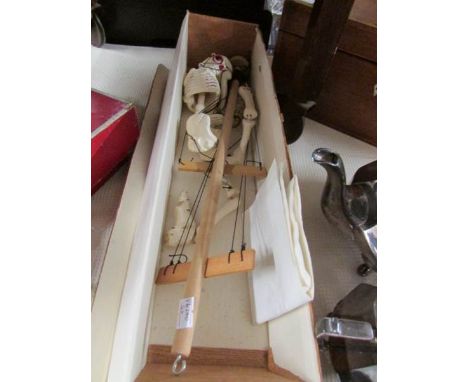 A boxed Pelham puppet of a skeleton