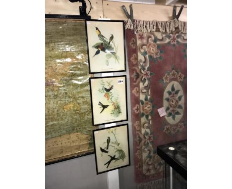 2 framed and glazed Gould & Richter prints Nectorinia Gouldla Urochroa Bougien and a Framed and glazed Gould & Hart print Spa