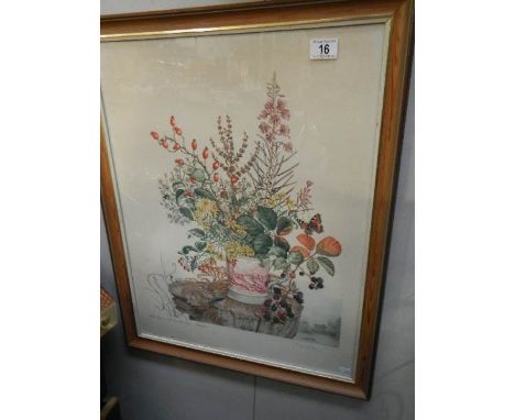 A framed and glazed botanical print
